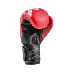 Gants de boxe BLAST